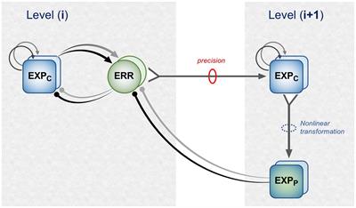 Computational components of visual predictive coding circuitry